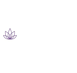 bodywizard